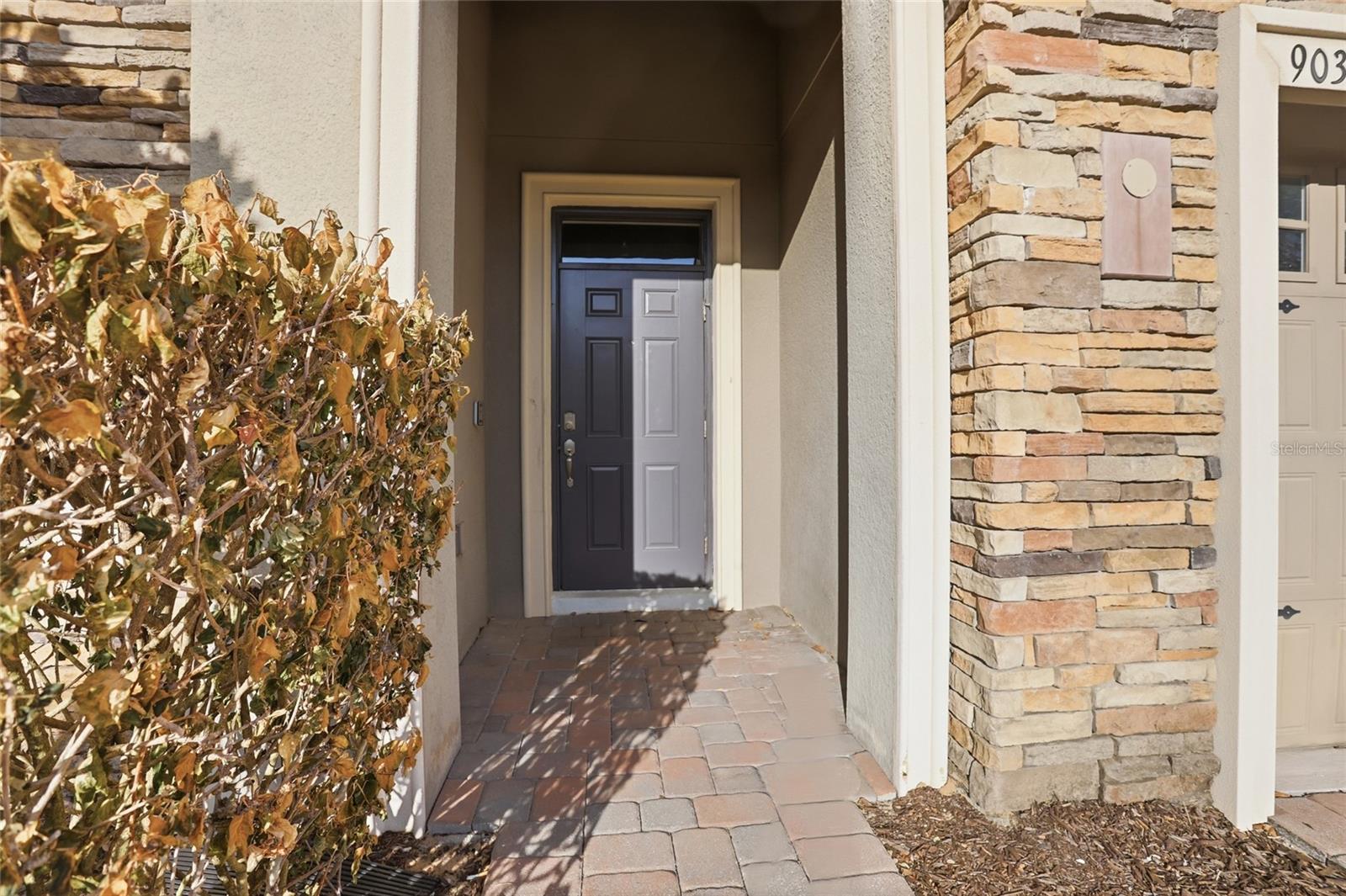 Single Family Residence at 9039 SHADOW MOUNTAIN ST, DAVENPORT, photo 42 of 60