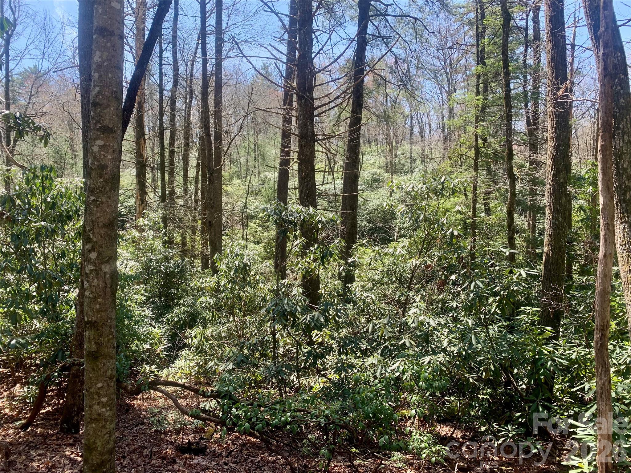 Lot 20A Indian Lake Road