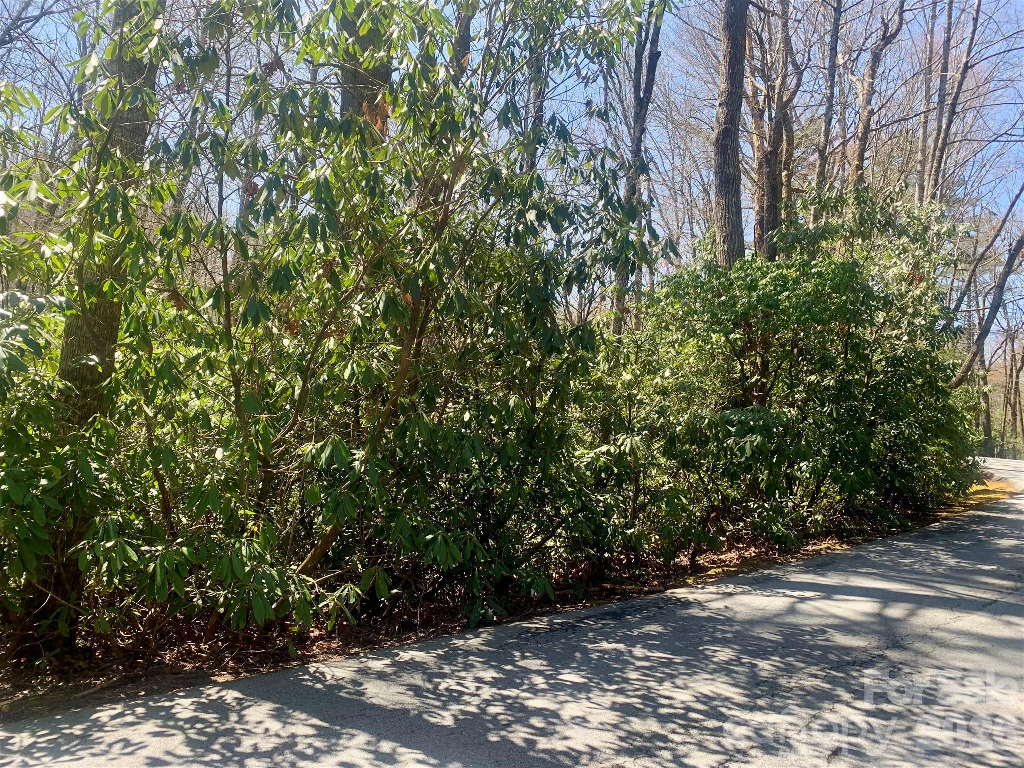 Lot at Lot 20A Indian Lake Road, Lake Toxaway, photo 2 of 11