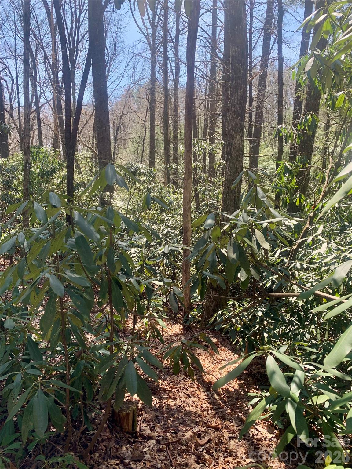 Lot at Lot 20A Indian Lake Road, Lake Toxaway, photo 3 of 11
