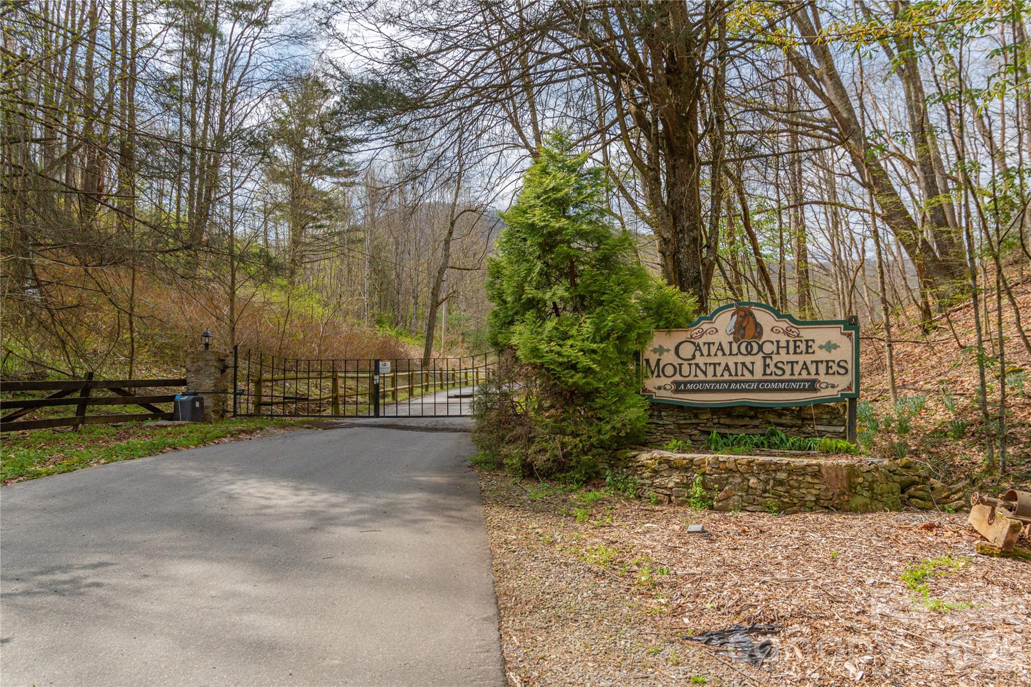 Lot at 00 Curry Comb Trail, Waynesville, photo 8 of 17