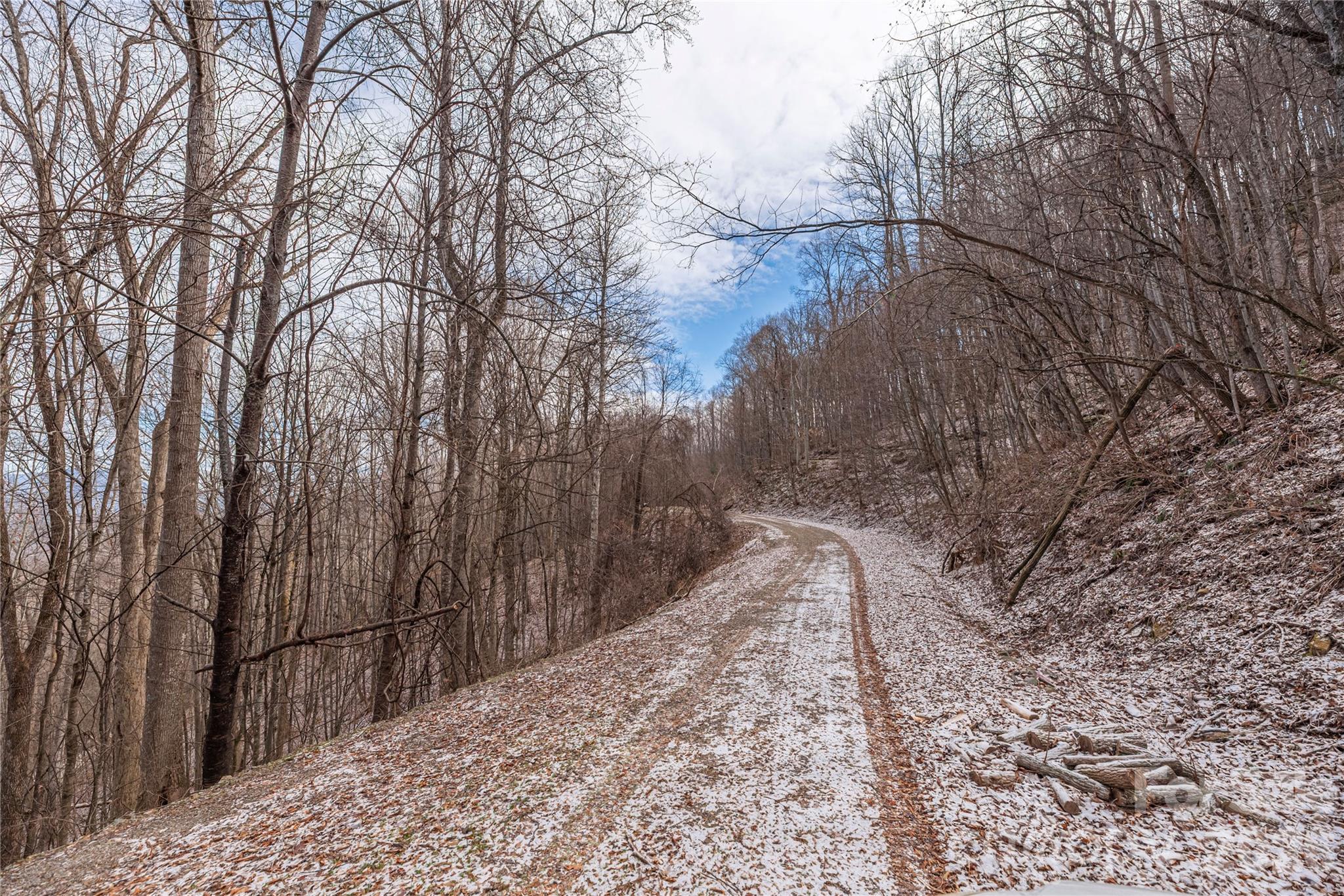 Lot at 00 Curry Comb Trail, Waynesville, photo 2 of 20