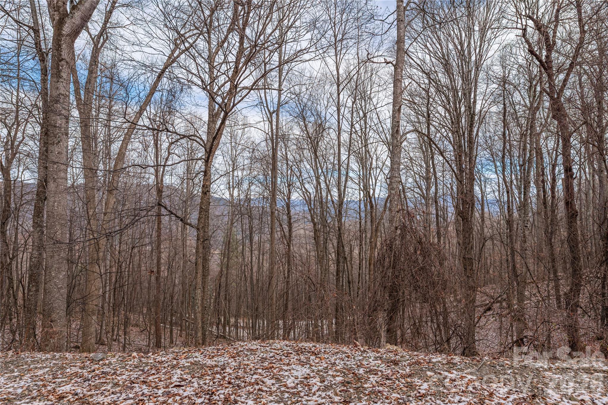 Lot at 00 Curry Comb Trail, Waynesville, photo 3 of 20