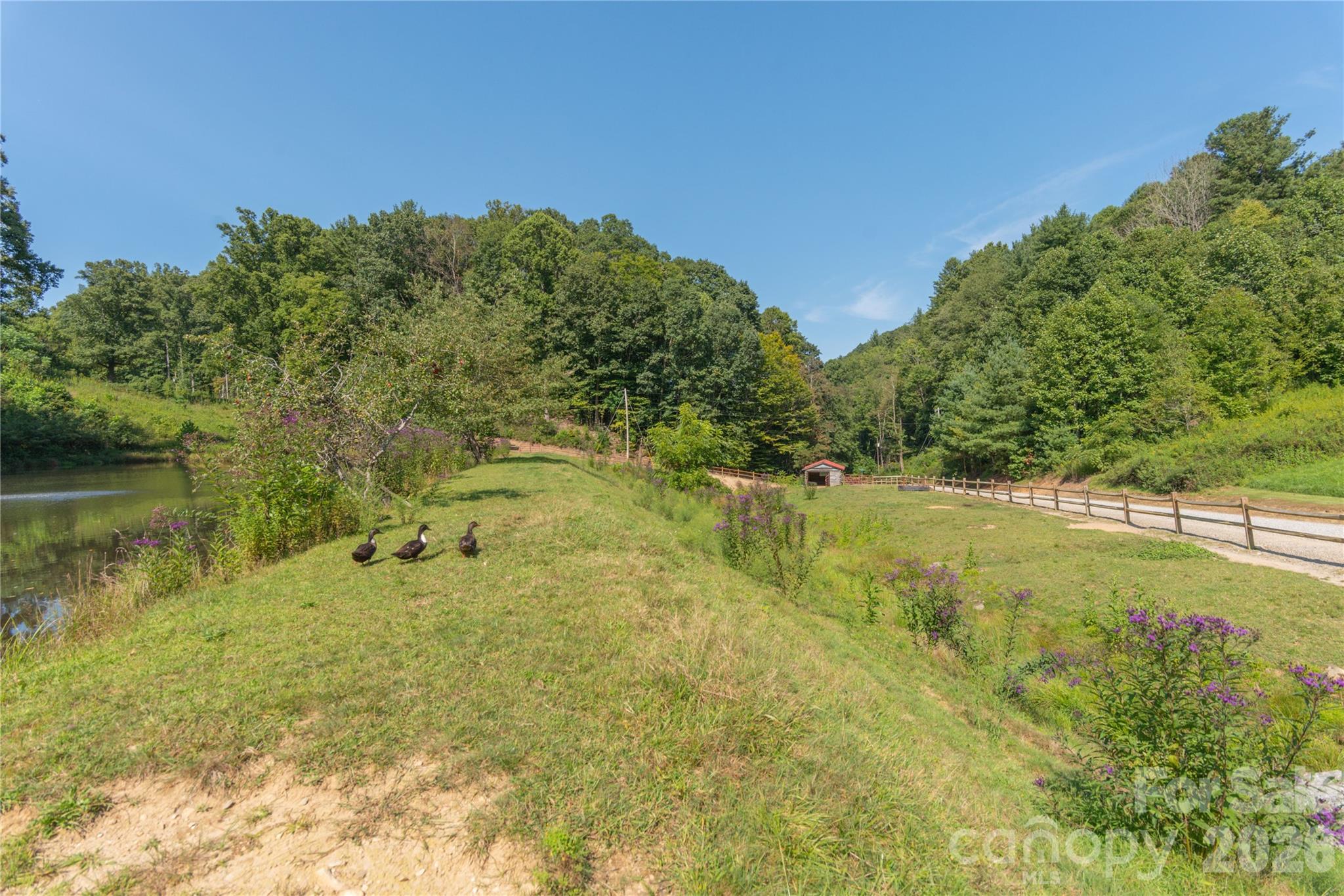 Lot at 00 Curry Comb Trail, Waynesville, photo 18 of 20