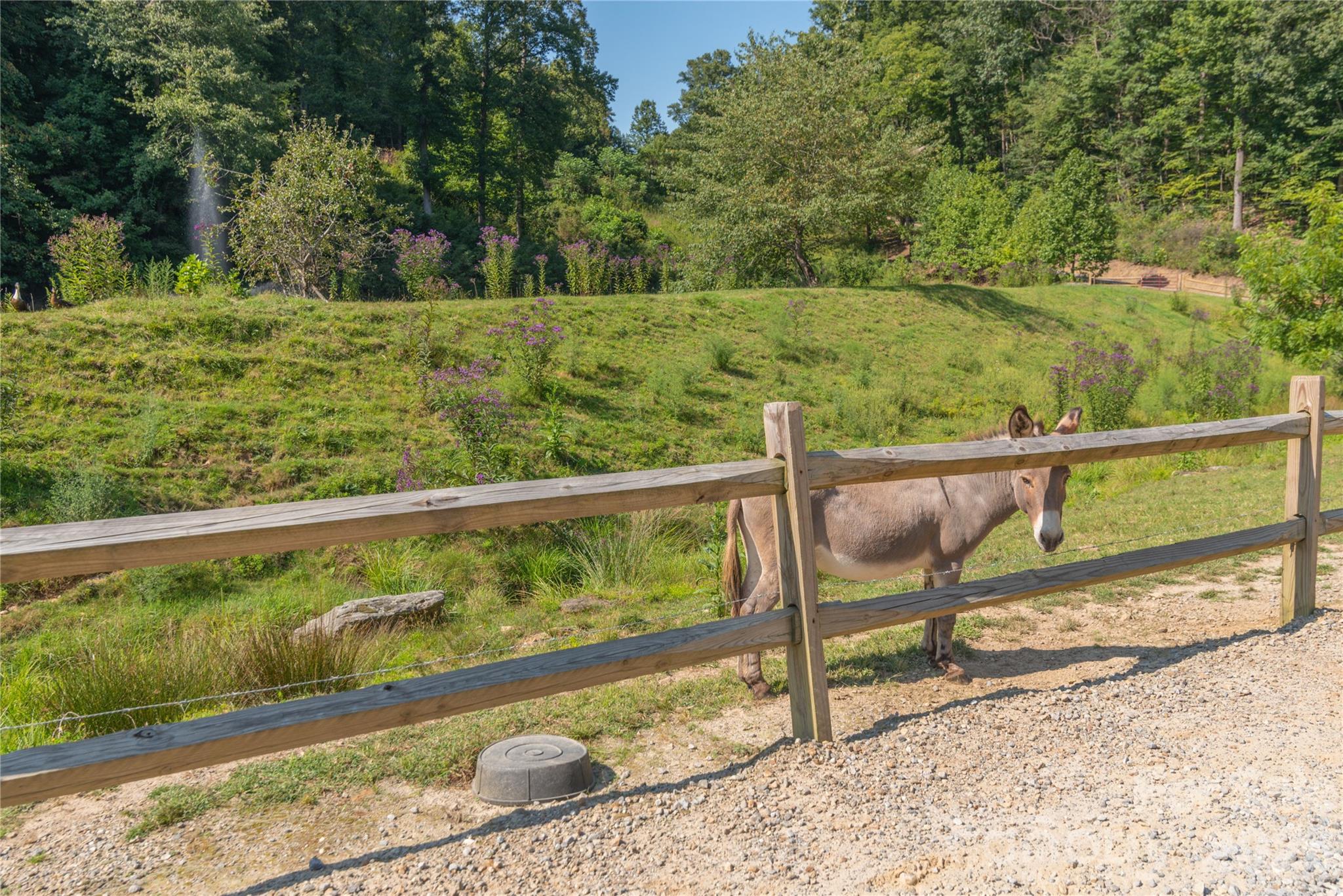 Lot at 00 Curry Comb Trail, Waynesville, photo 19 of 20