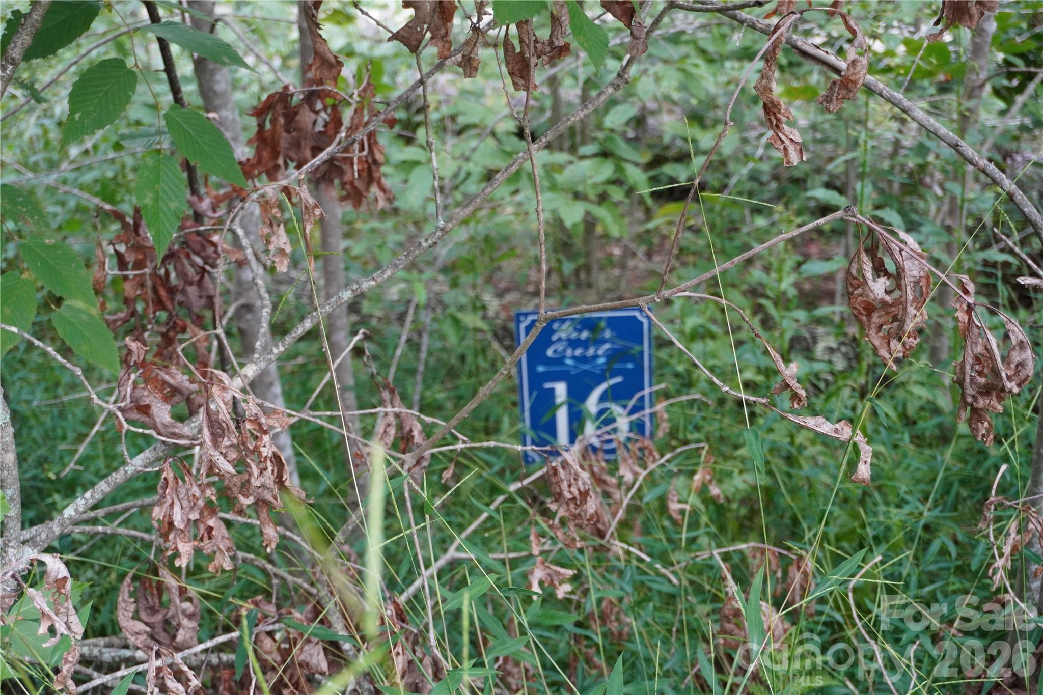 Lot 16 - 1.95 acres - 0000 High Peak Drive, Burnsville