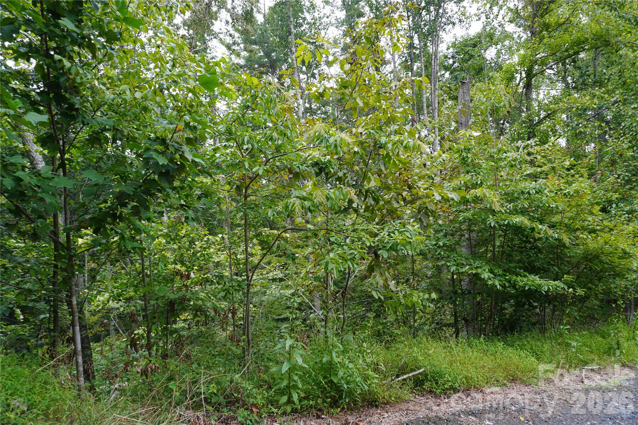 Lot at 0000 High Peak Drive, Burnsville, photo 8 of 13