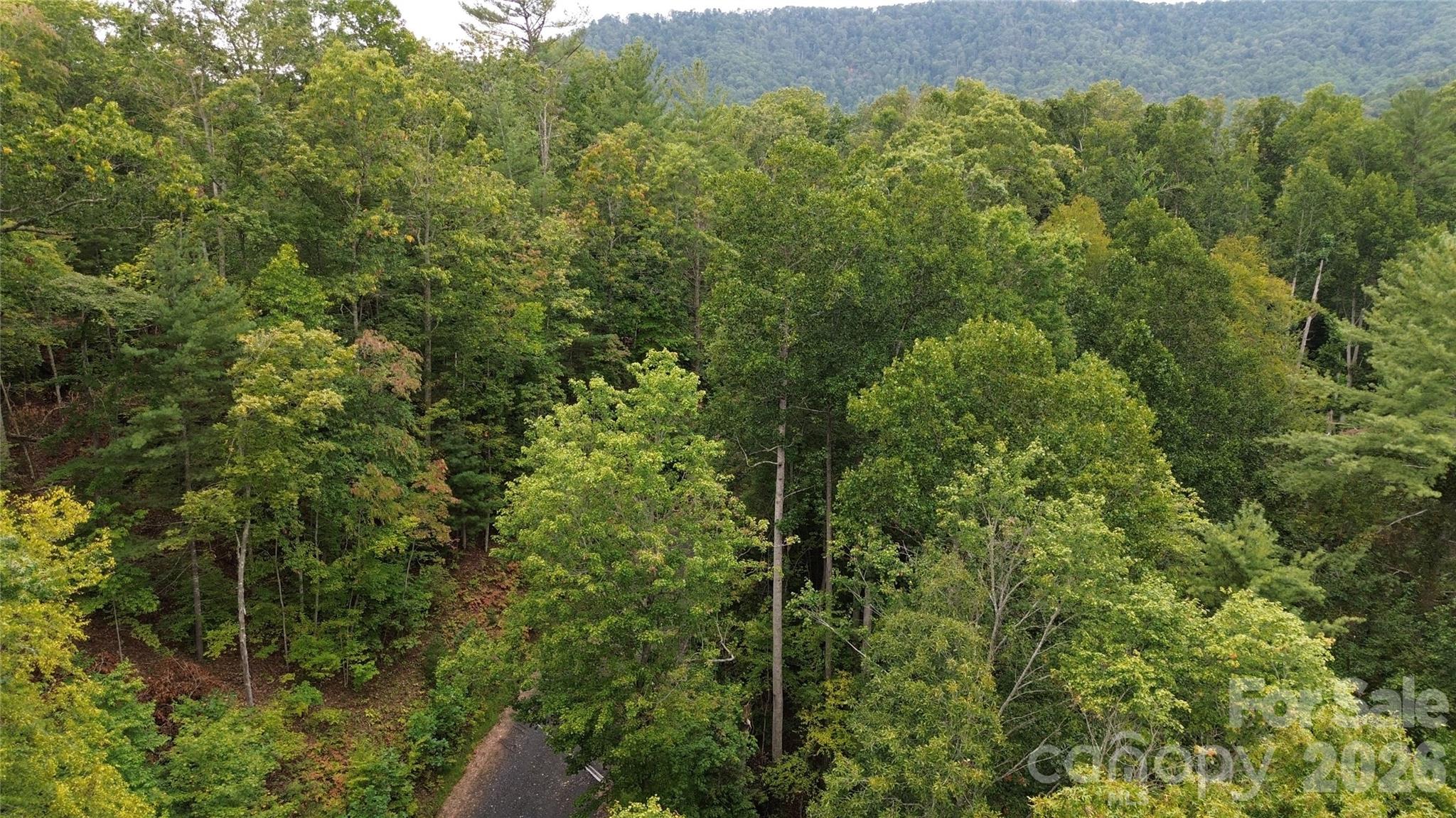 Lot at 0000 High Peak Drive, Burnsville, photo 11 of 13
