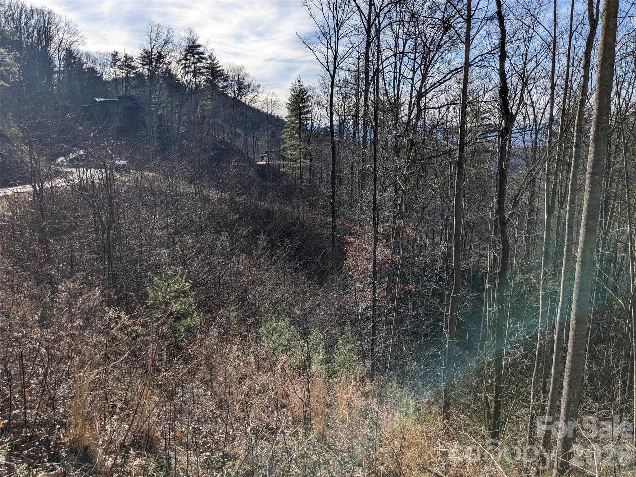 Lot at 27 Bent Branch Lane, Asheville, photo 6 of 27