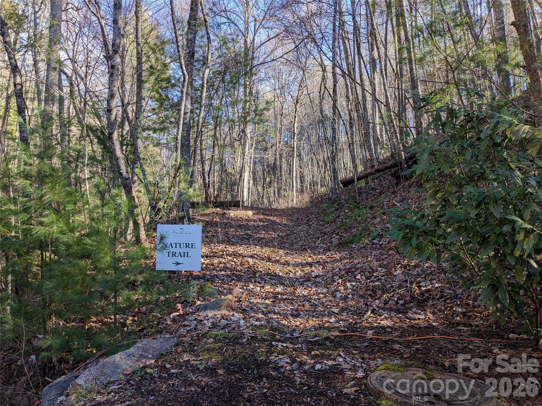 Lot at 27 Bent Branch Lane, Asheville, photo 10 of 27