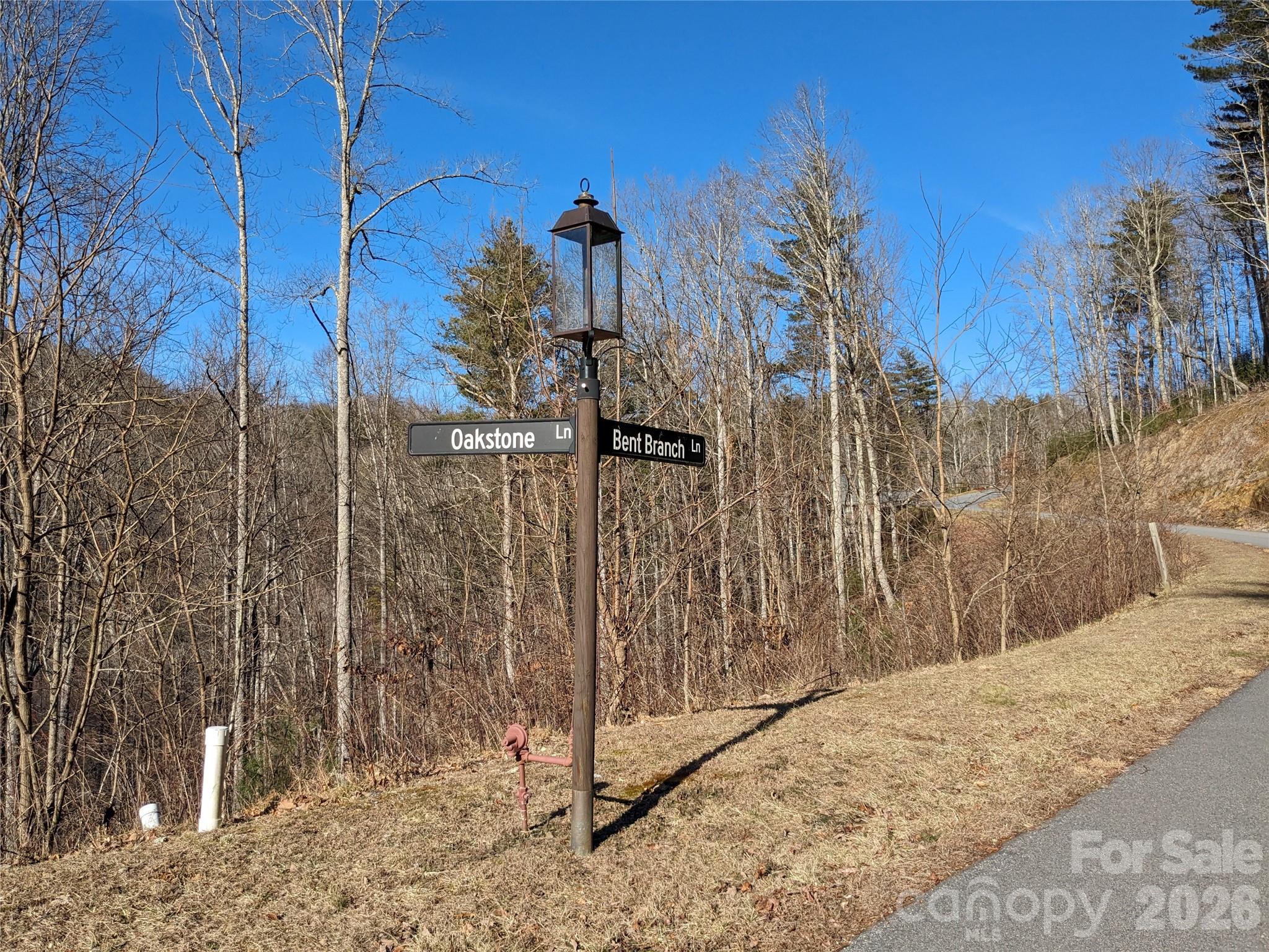 Lot at 27 Bent Branch Lane, Asheville, photo 11 of 27