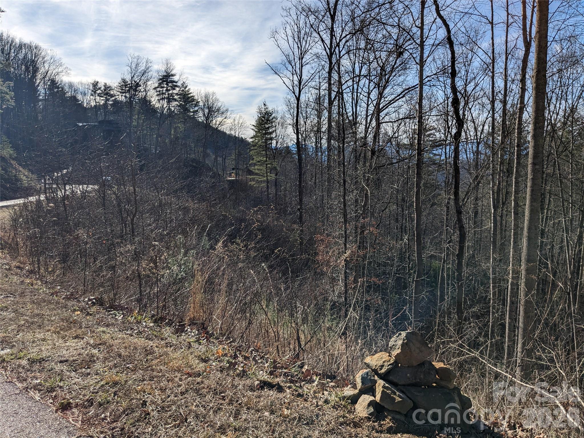 Lot at 27 Bent Branch Lane, Asheville, photo 12 of 27