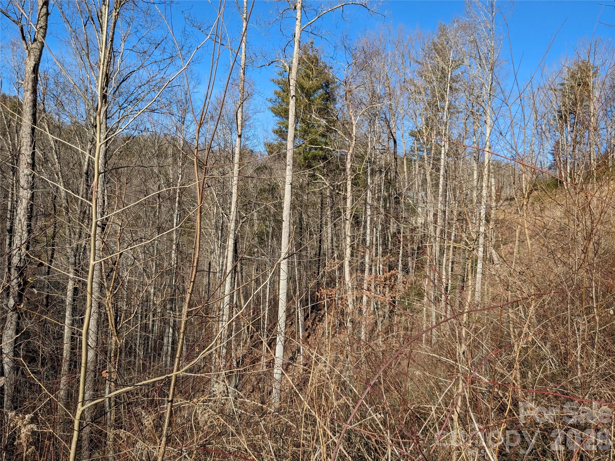 Lot at 27 Bent Branch Lane, Asheville, photo 13 of 27