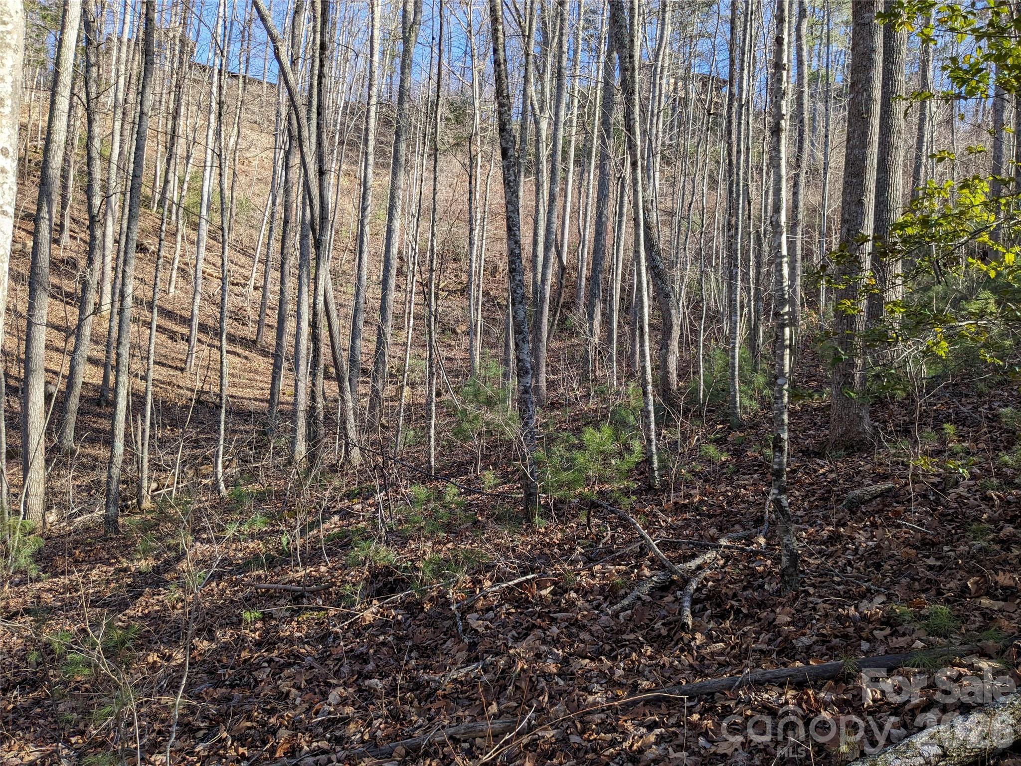 Lot at 27 Bent Branch Lane, Asheville, photo 14 of 27
