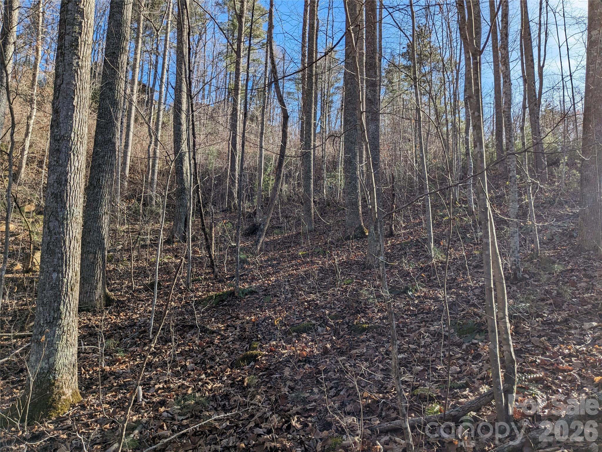 Lot at 27 Bent Branch Lane, Asheville, photo 15 of 27