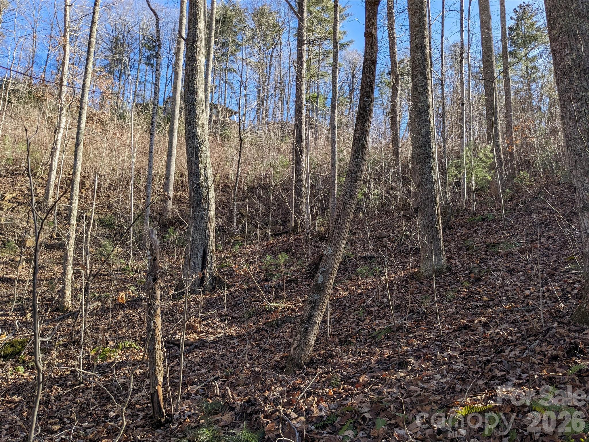 Lot at 27 Bent Branch Lane, Asheville, photo 16 of 27