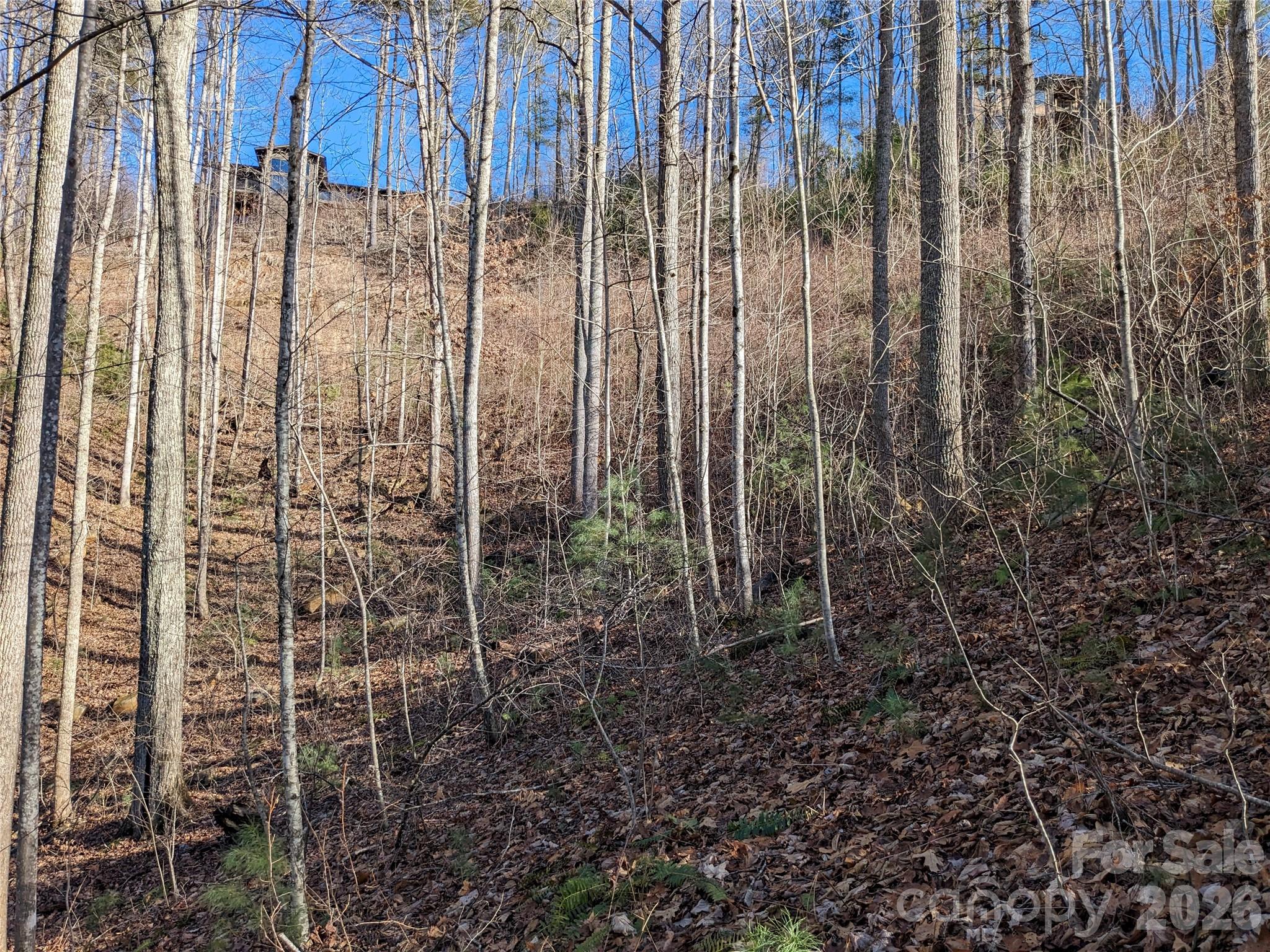 Lot at 27 Bent Branch Lane, Asheville, photo 17 of 27