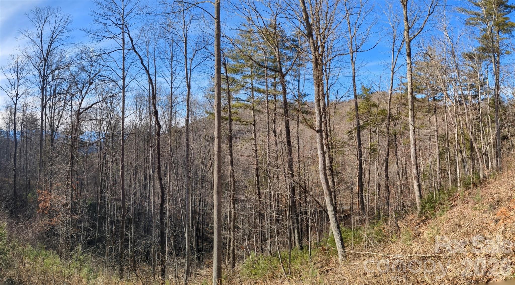 Lot at 27 Bent Branch Lane, Asheville, photo 4 of 27