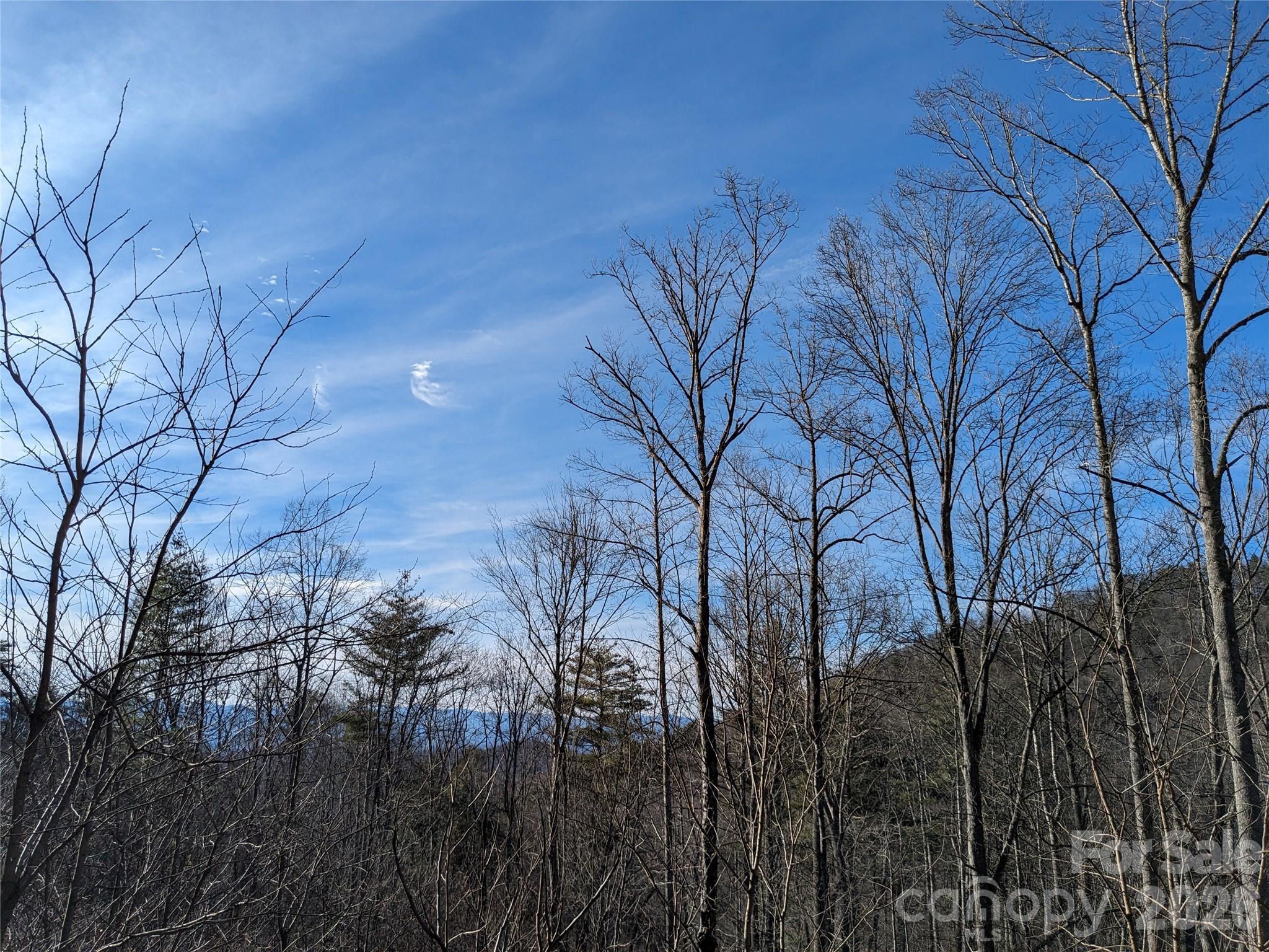 Lot at 27 Bent Branch Lane, Asheville, photo 18 of 27