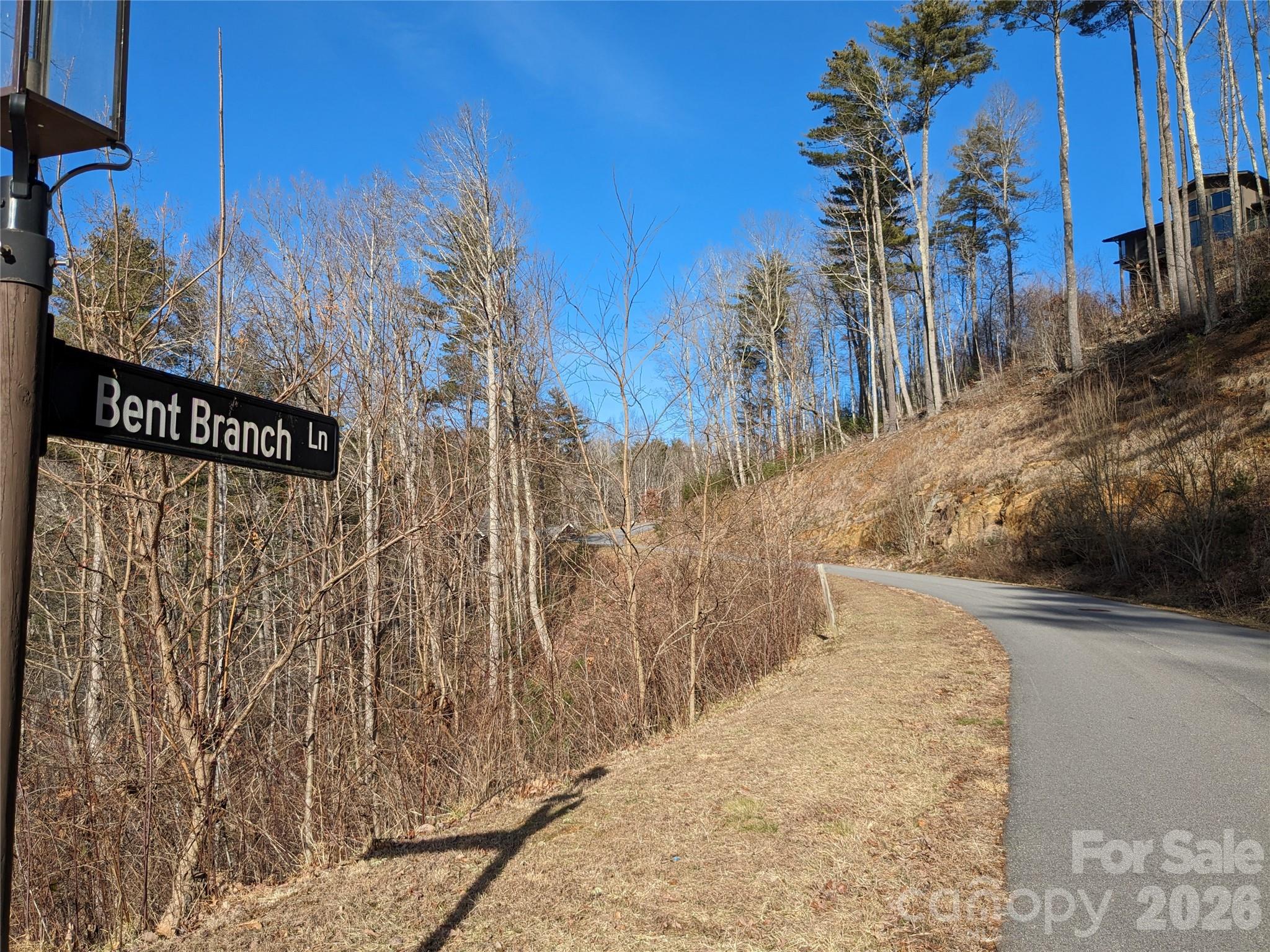 Lot at 27 Bent Branch Lane, Asheville, photo 19 of 27