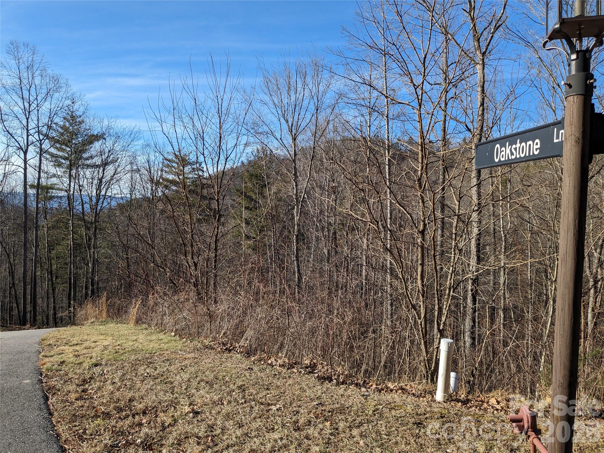 Lot at 27 Bent Branch Lane, Asheville, photo 5 of 27