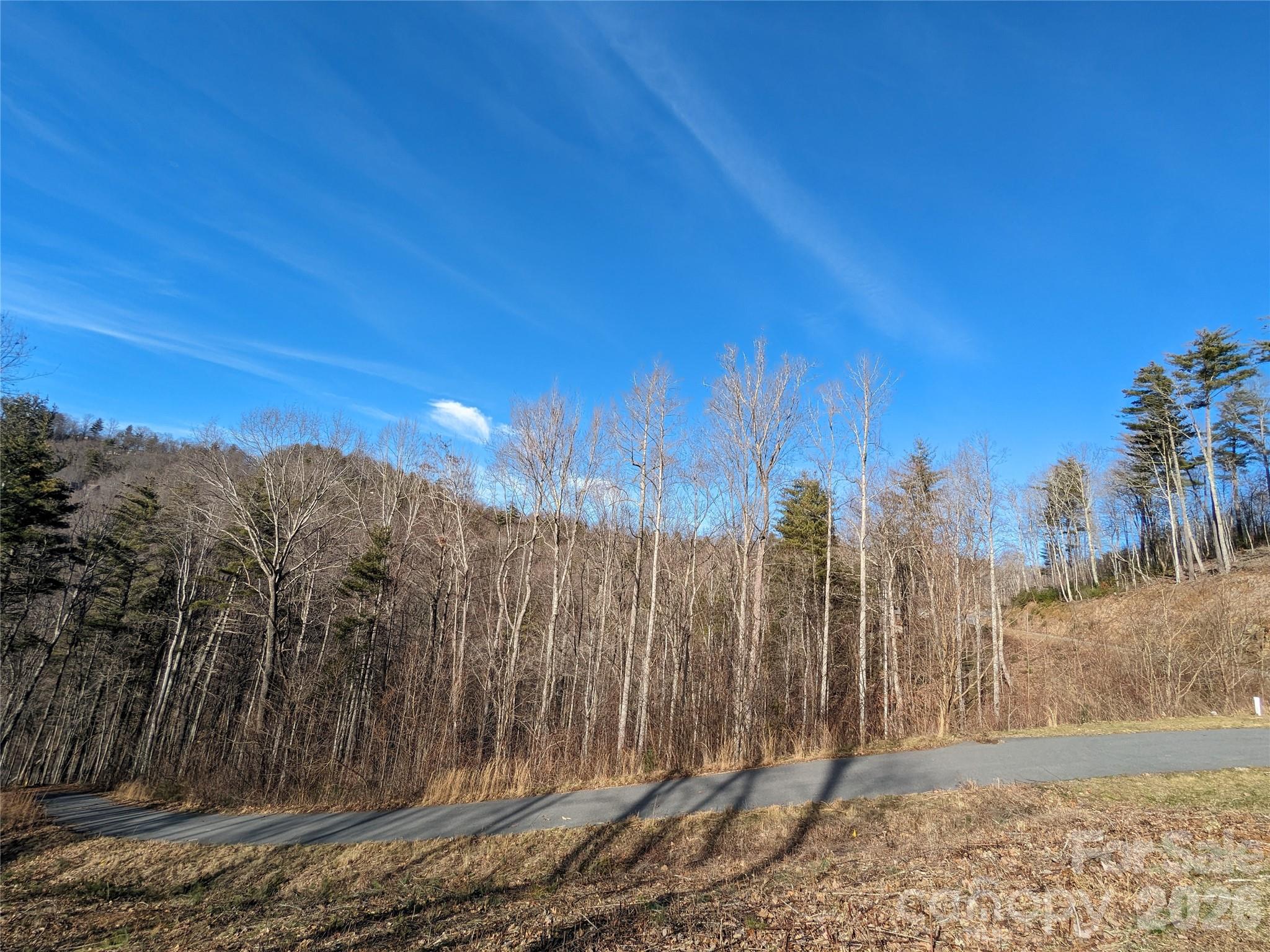 Lot at 27 Bent Branch Lane, Asheville, photo 20 of 27