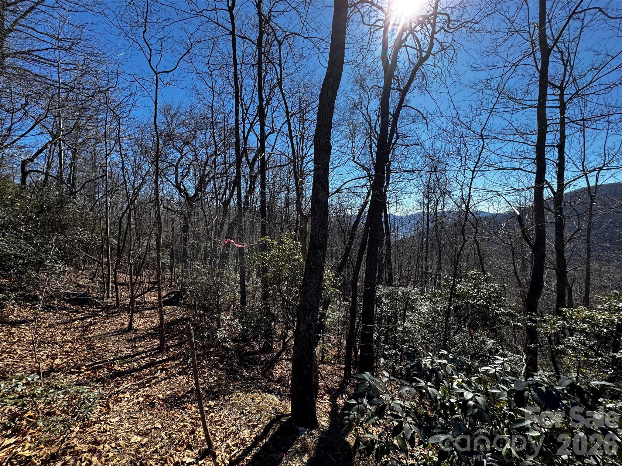 Lot at TBD Acacia Court, Black Mountain, photo 3 of 22