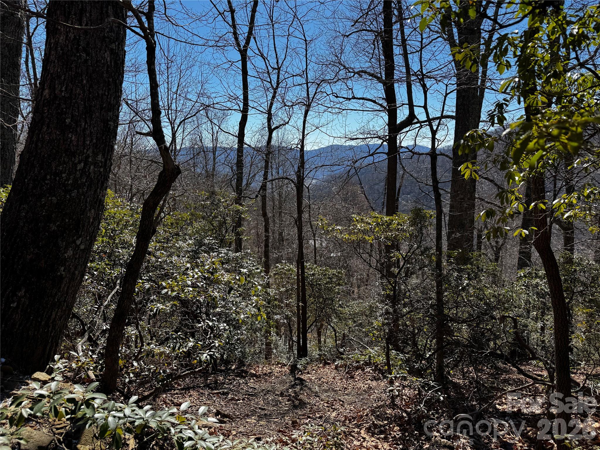 Lot at TBD Acacia Court, Black Mountain, photo 8 of 22