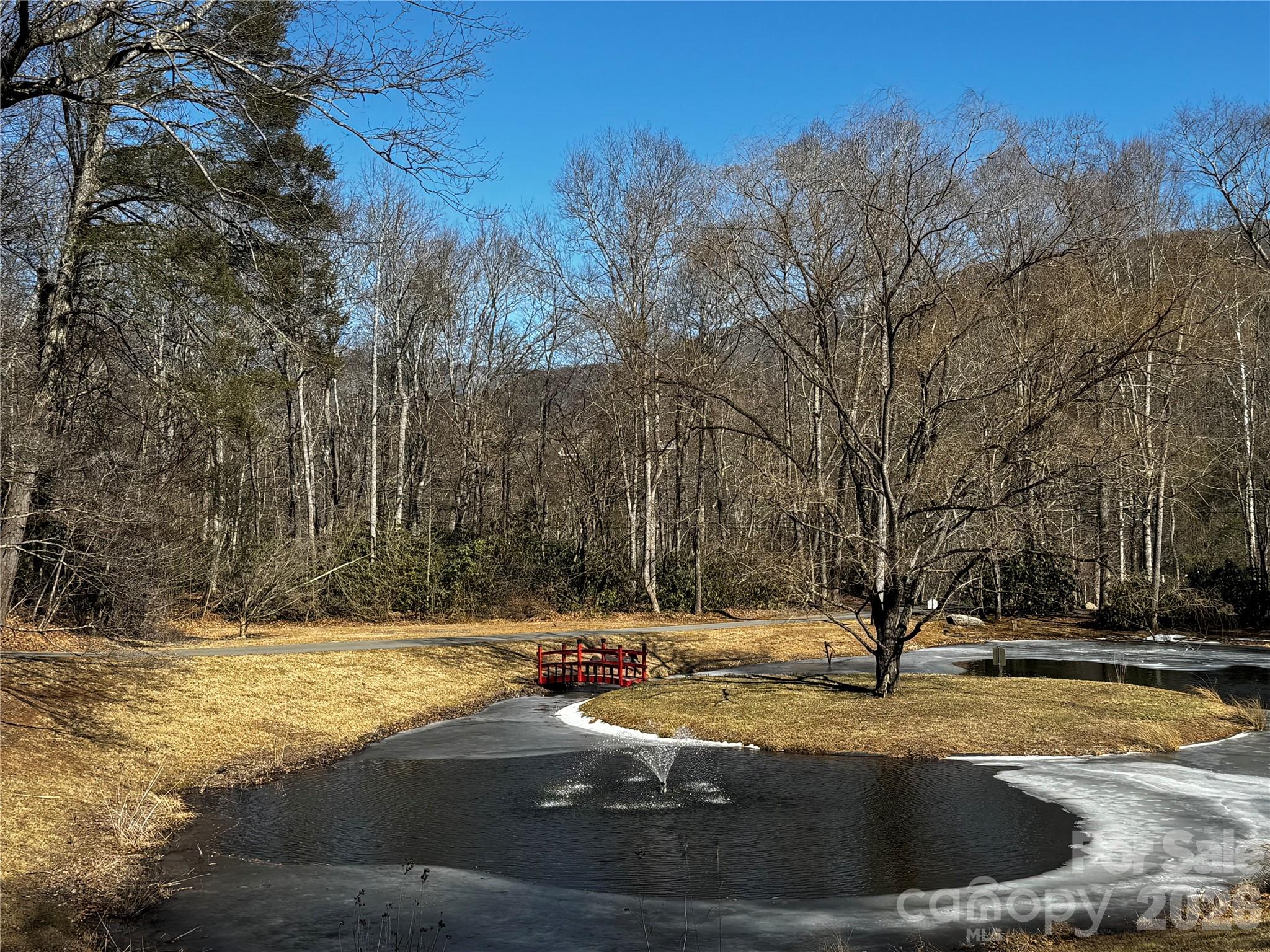 Lot at TBD Acacia Court, Black Mountain, photo 11 of 22