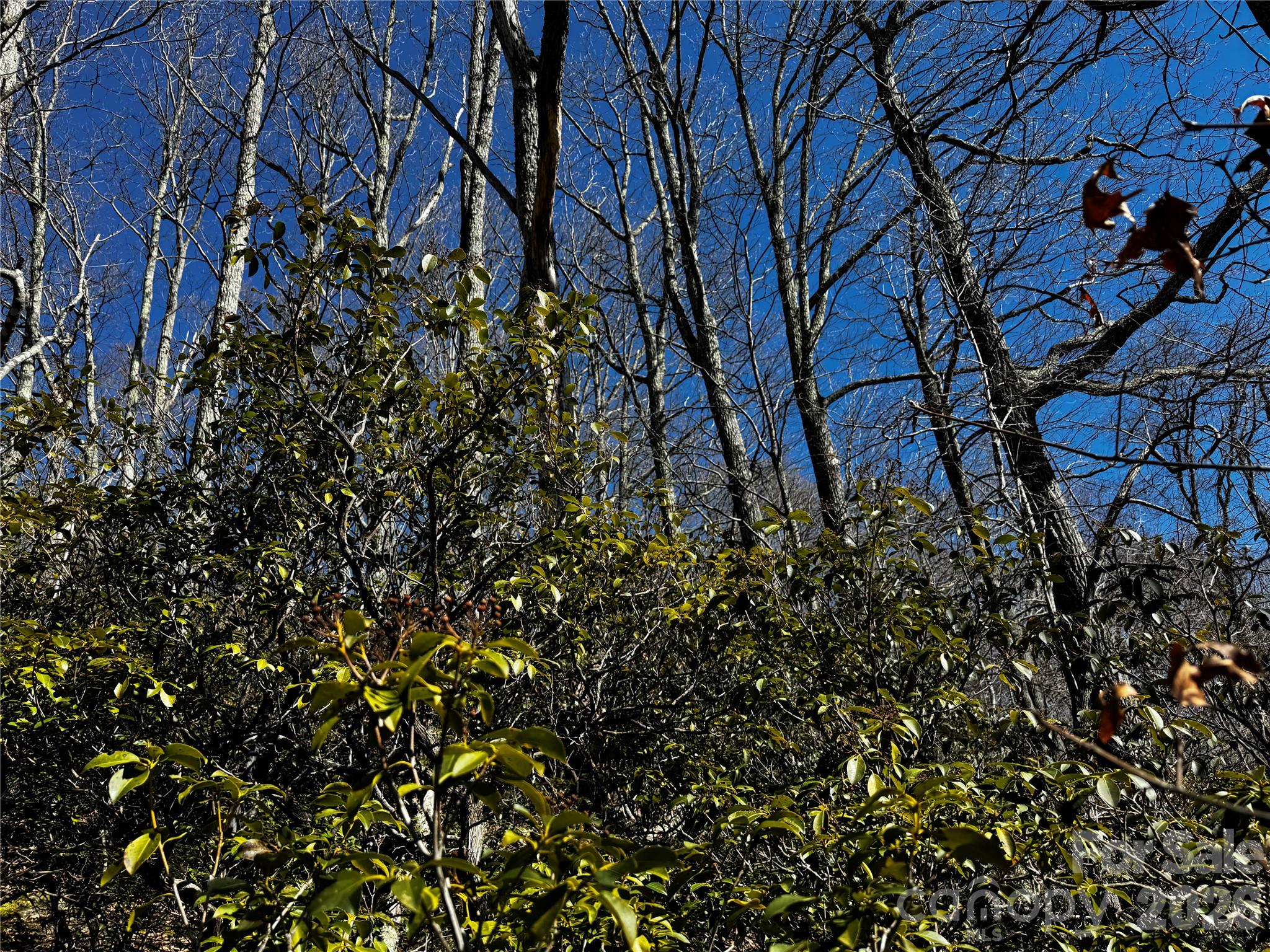 Lot at TBD Acacia Court, Black Mountain, photo 16 of 22