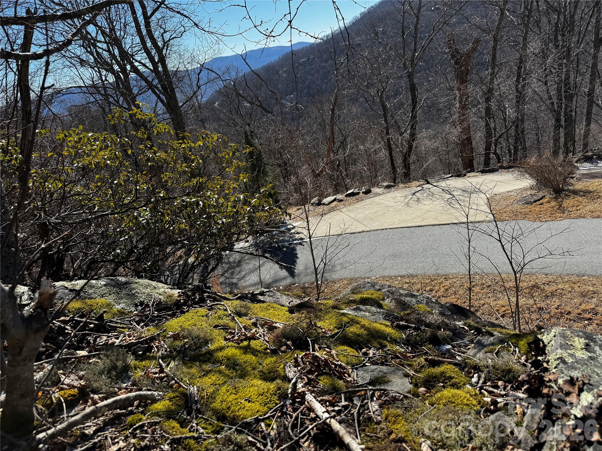 Lot at TBD Acacia Court, Black Mountain, photo 17 of 22