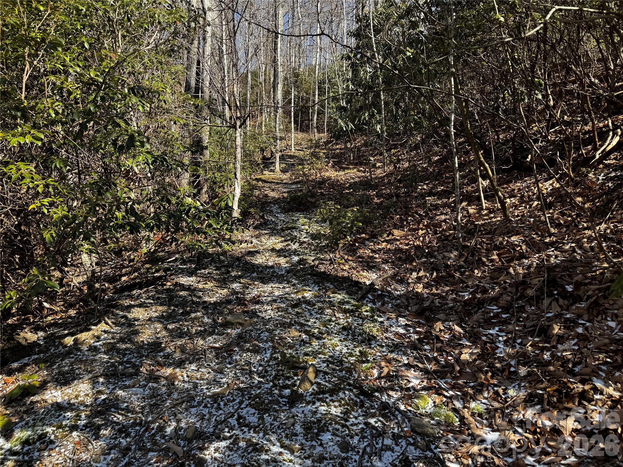 Lot at TBD Acacia Court, Black Mountain, photo 18 of 22