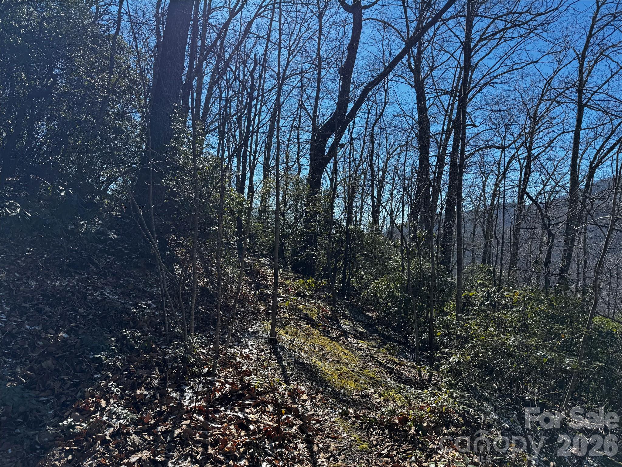 Lot at TBD Acacia Court, Black Mountain, photo 19 of 22