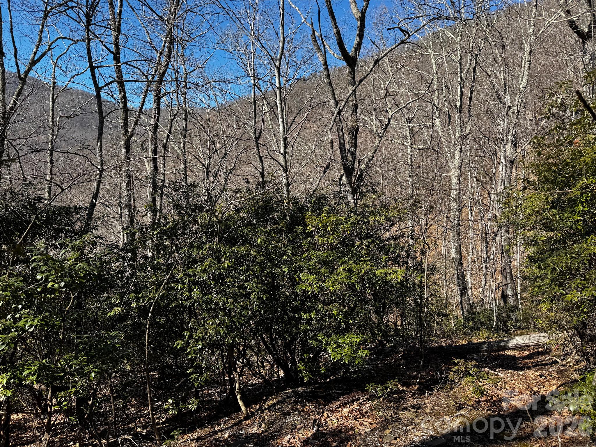 Lot at TBD Acacia Court, Black Mountain, photo 20 of 22