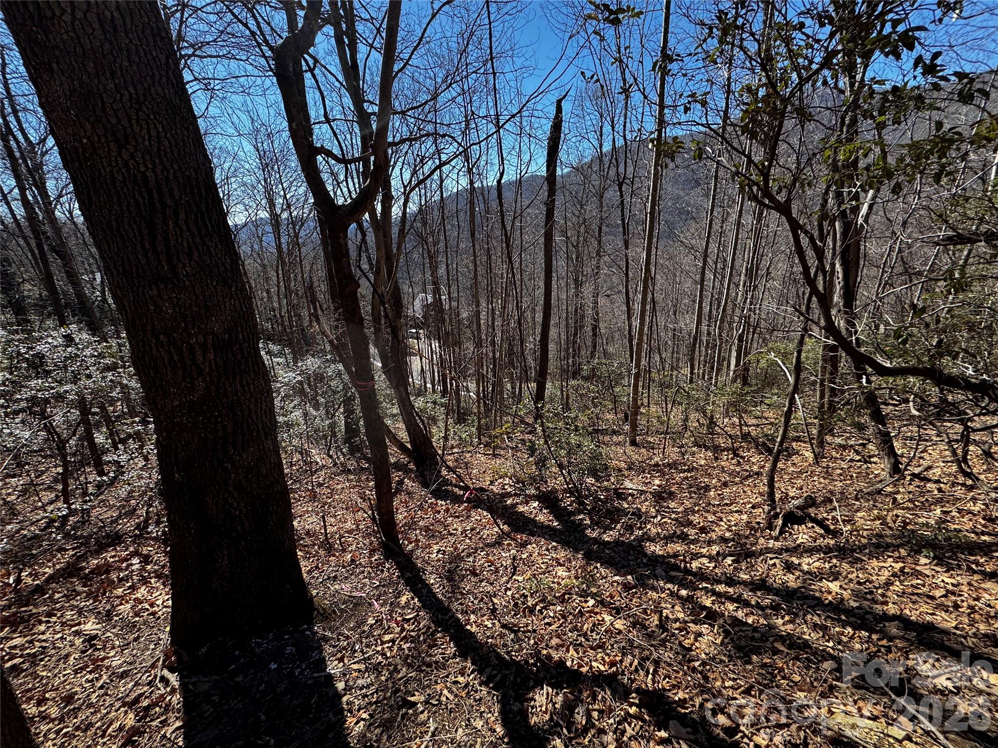 Lot at TBD Acacia Court, Black Mountain, photo 21 of 22