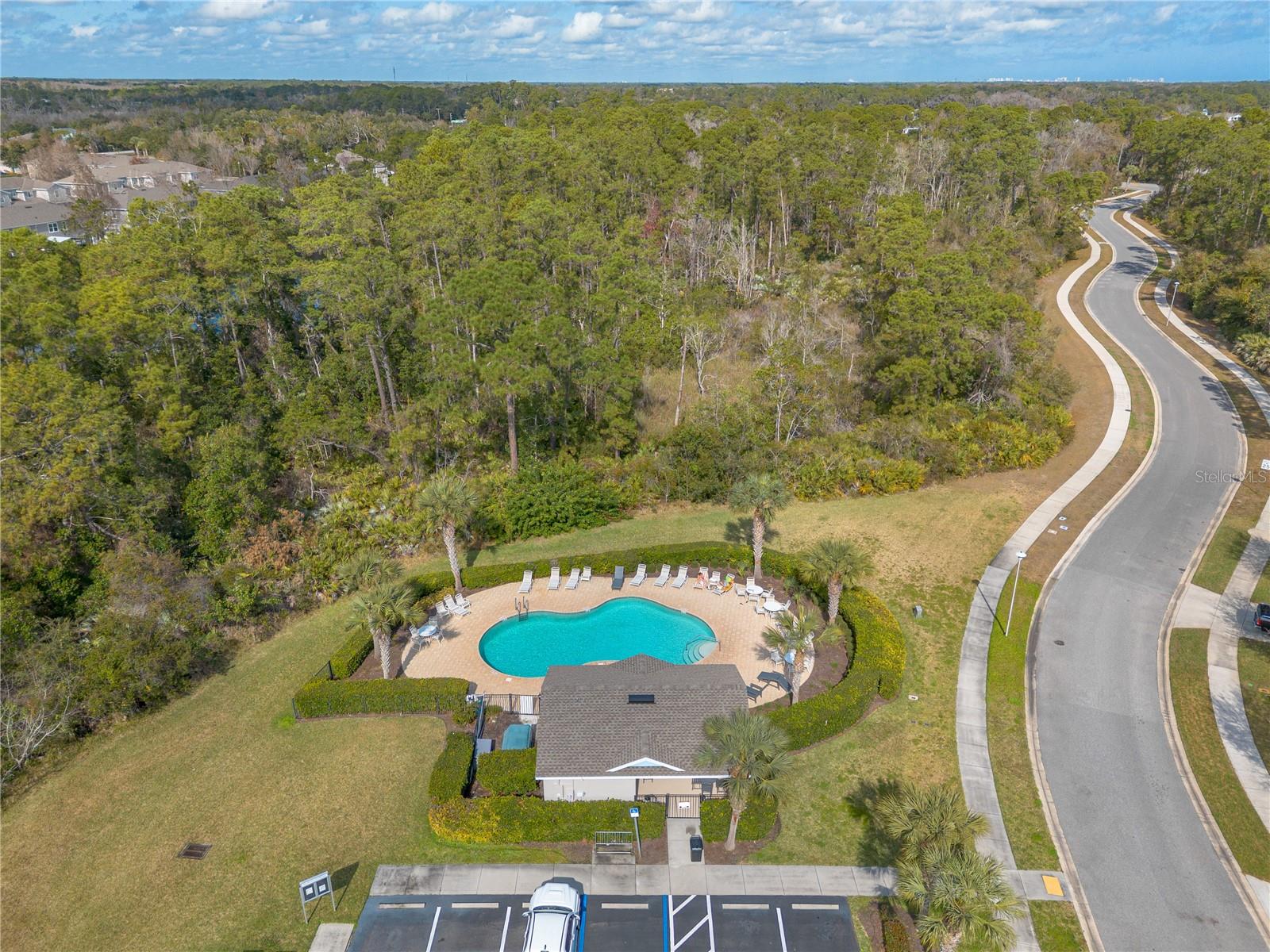 community pool - 2612 STAR CORAL LN, NEW SMYRNA BEACH