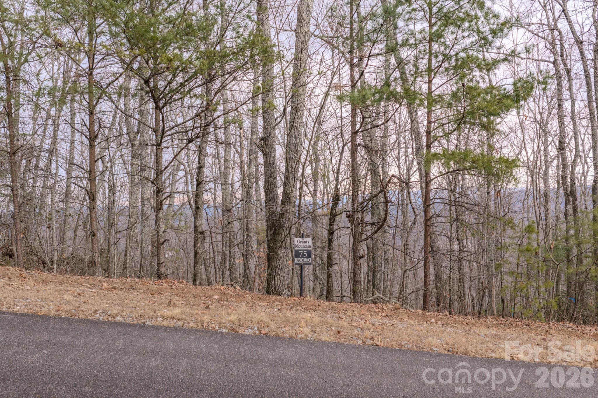 Lot at 2724 Mountain Crest Drive S, Marion, photo 21 of 38