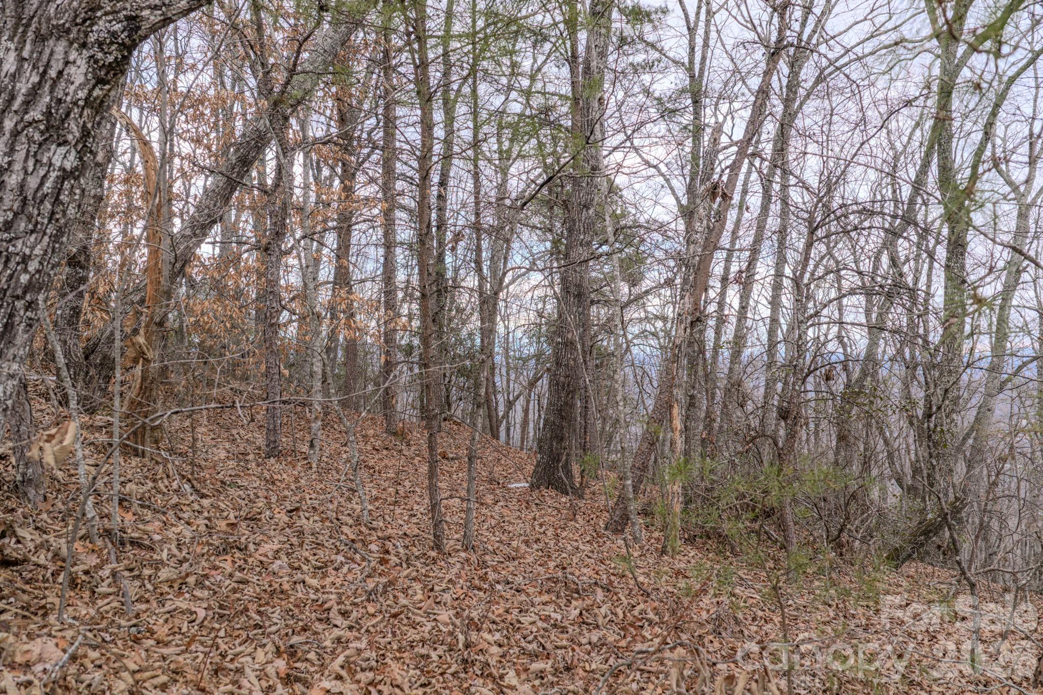 Lot at 2724 Mountain Crest Drive S, Marion, photo 30 of 38