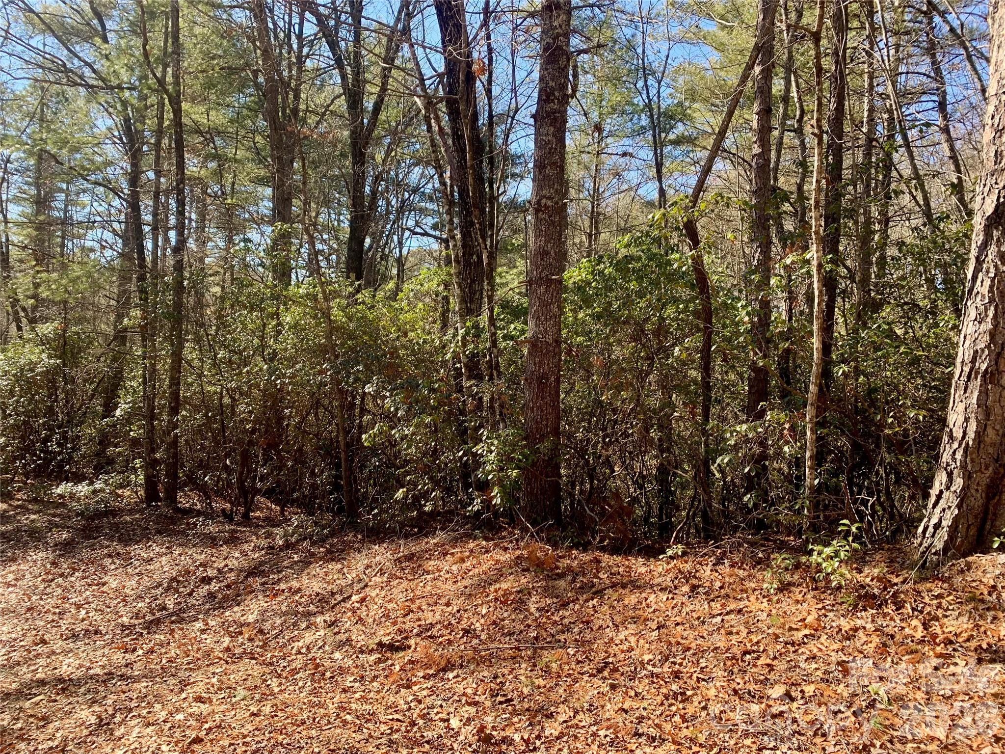 Lot at Lot 18 Oak Ridge Drive, Brevard, photo 4 of 7
