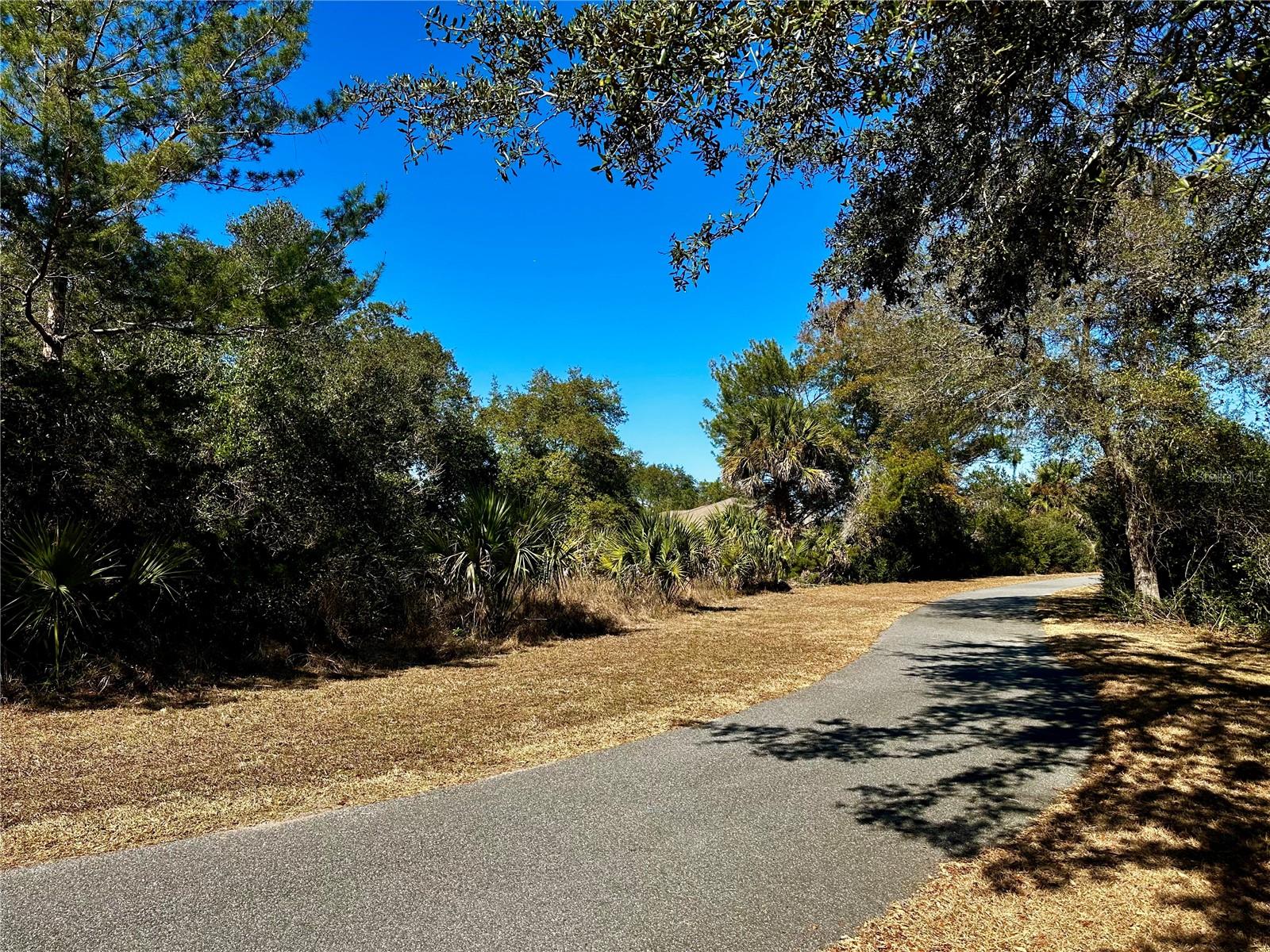 Land at 29 FIELDSTONE LN, PALM COAST, photo 4 of 7