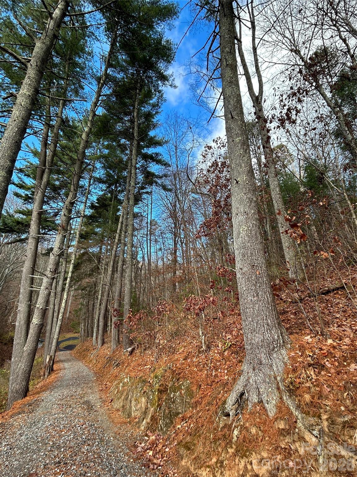 Access from Cowan Cove Road - 99999 Cowan Cove Road, Asheville
