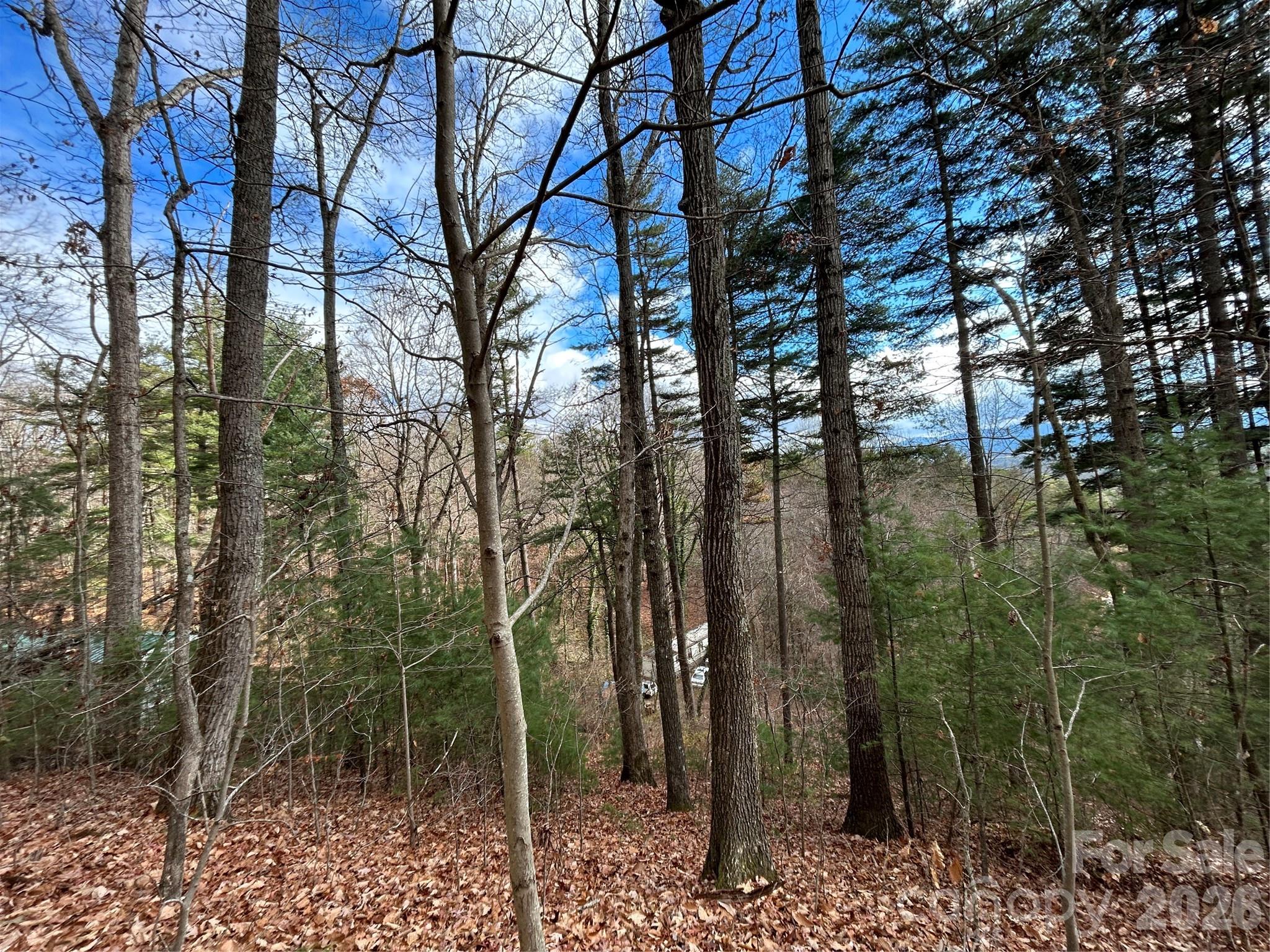 Acreage at 99999 Cowan Cove Road, Asheville, photo 2 of 4