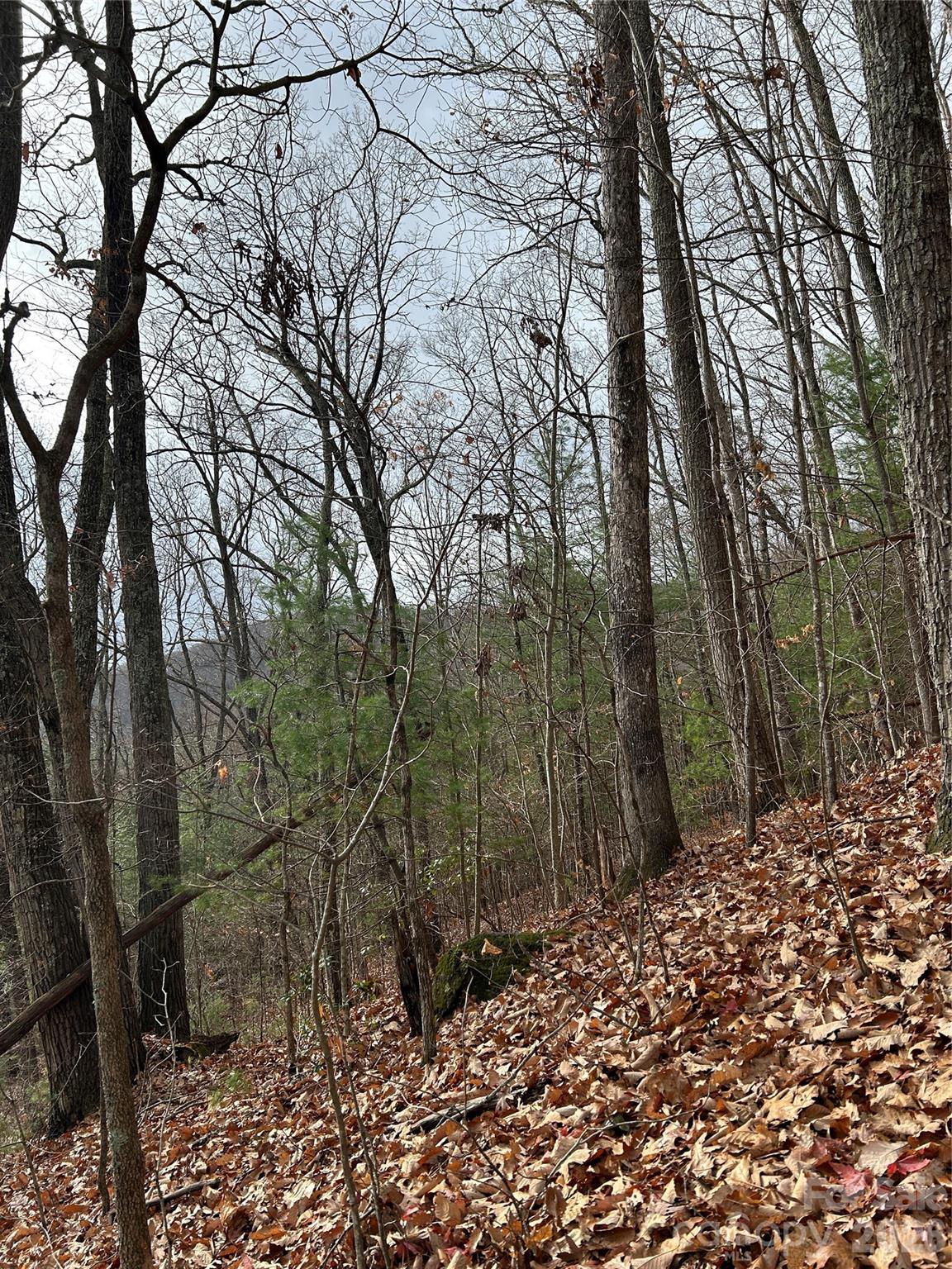 Acreage at 99999 Cowan Cove Road, Asheville, photo 3 of 4