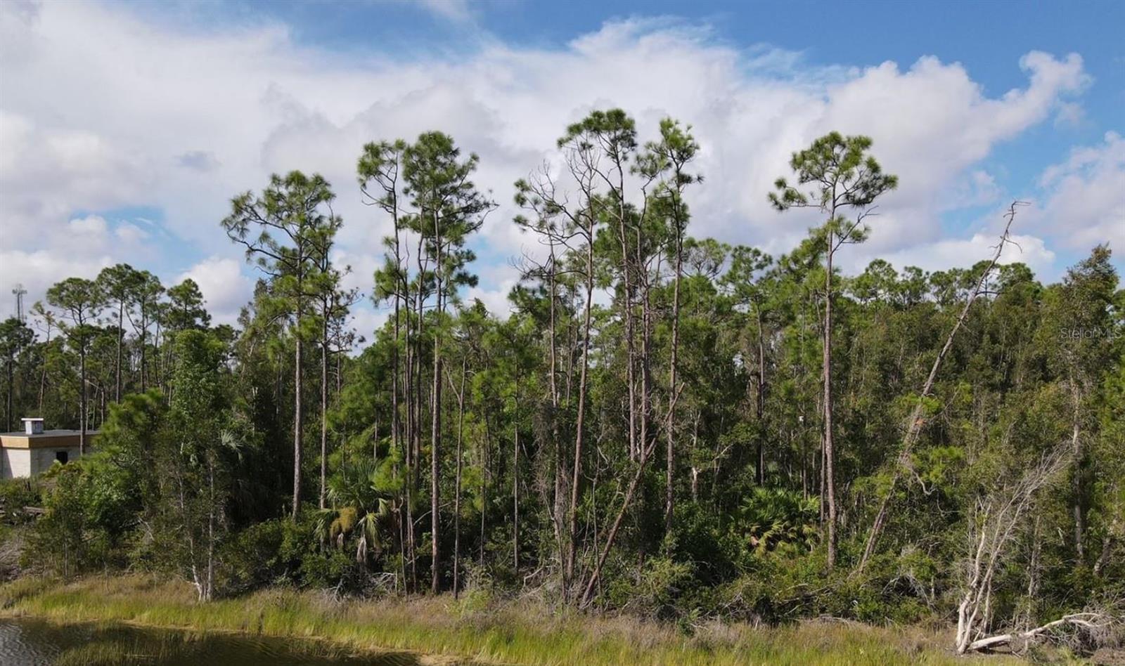 Land at 12665 EASHA BLVD, PUNTA GORDA, photo 5 of 17
