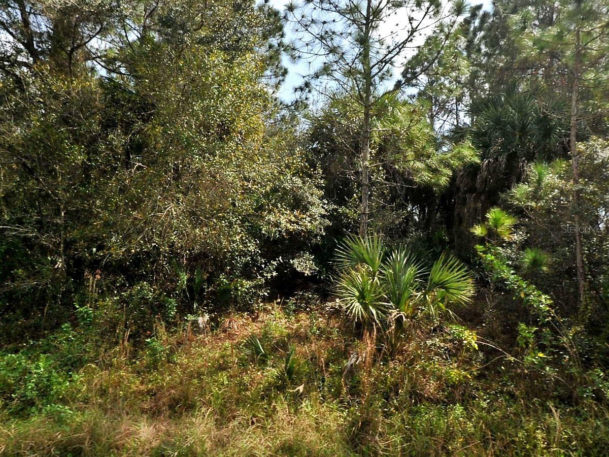 Land at HAMILTON AVE, NORTH PORT
