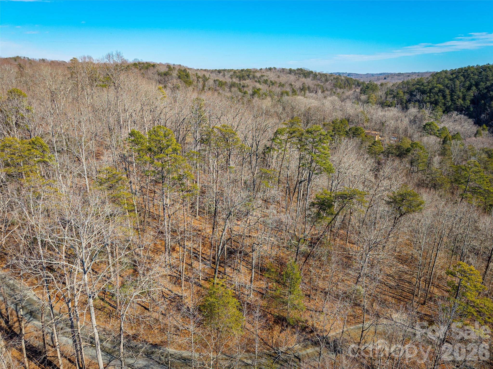 Acreage at TBD Rondo Ridge Road, Tryon, photo 7 of 21