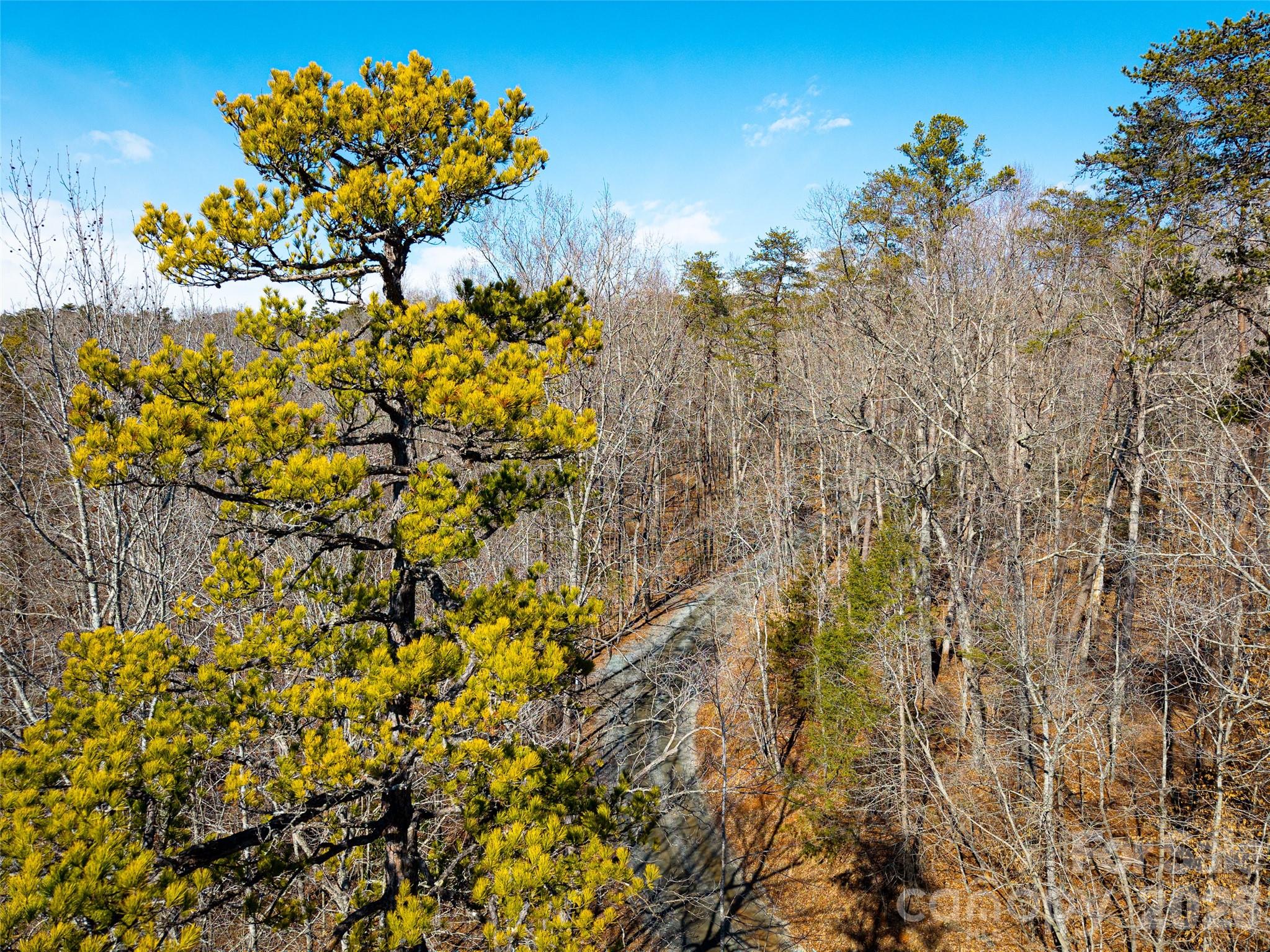 Acreage at TBD Rondo Ridge Road, Tryon, photo 8 of 21
