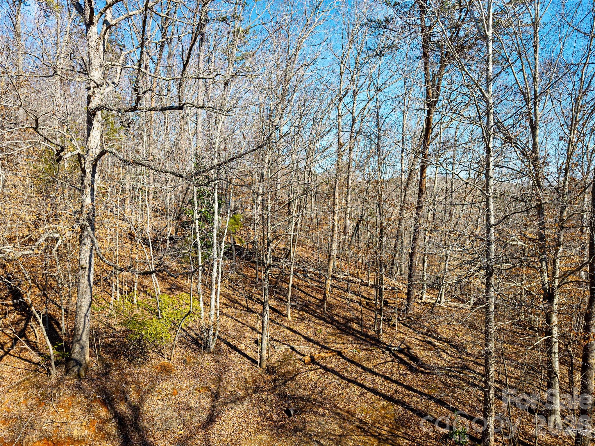 Acreage at TBD Rondo Ridge Road, Tryon, photo 9 of 21
