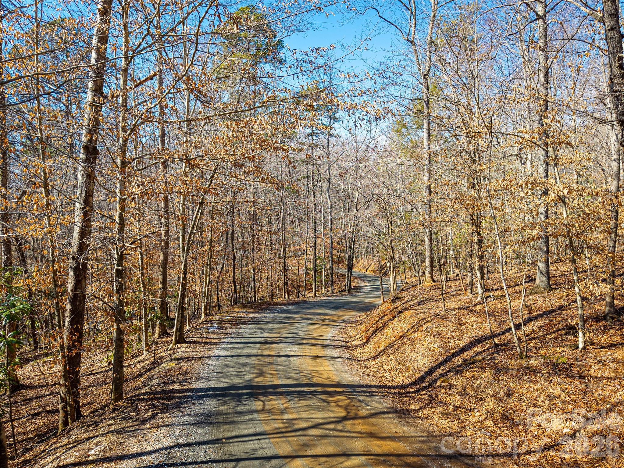 Acreage at TBD Rondo Ridge Road, Tryon, photo 11 of 21