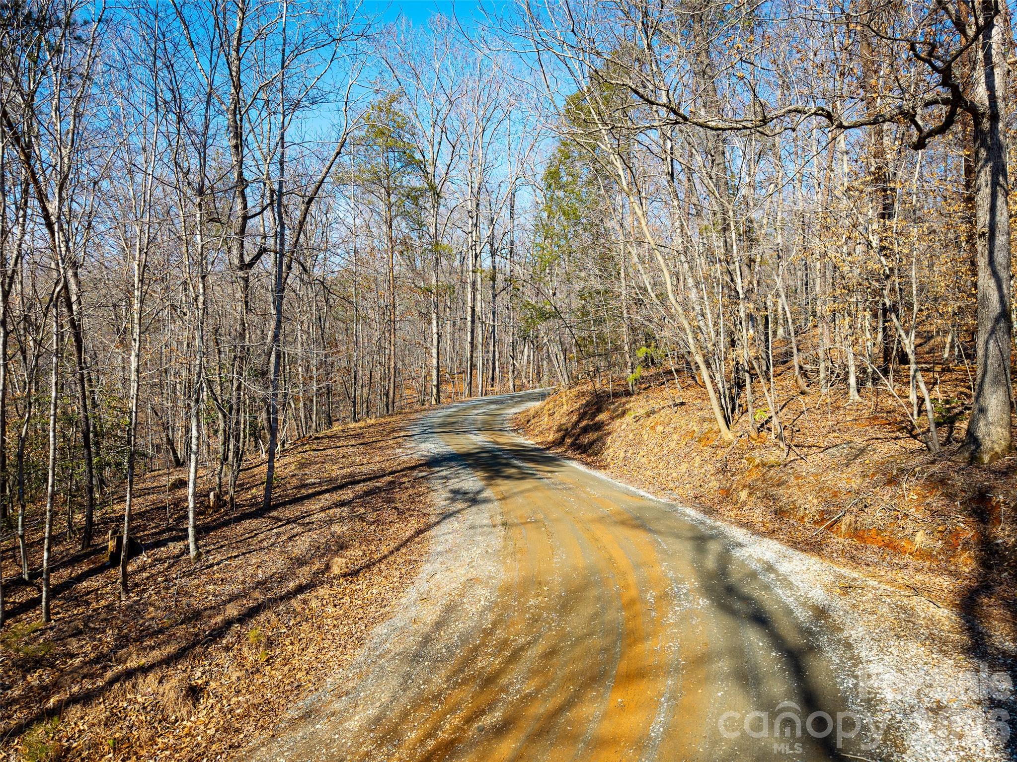 Acreage at TBD Rondo Ridge Road, Tryon, photo 12 of 21